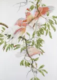 Pink or Major Mitchell’s Cockatoos Signed and dated ‘84 Watercolour 95 x 68.5cm Provenance: The Everard Read Gallery, Johannesburg, March 1984 ++Good condition by Robin Hill, Watercolour, sold Jun 2018