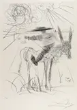Sancha Panza by Salvador Dalí, Etching, sold Jun 2018