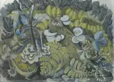 Woodland Fungi gouache on board, framed signed Audrey Cooper lower centre, 75 x 55cm by Audrey Cooper, gouache on board, sold Mar 2018