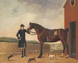 A dark bay hunter held by a groom with The Fourth Viscount Galway’s beagles, by a stable block Oil on canvas 55 x 66cm; 21½ x 26in Provenance: Col by Benjamin Killingbeck, Oil on canvas, offered Mar 2018