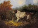 Setters in a landscape with game birds Oil on canvas 31 x 41cm; 12 x 16in by George Armfield, Oil on canvas, sold Mar 2018