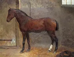 Portrait of a horse in a stable Signed and dated 1880 Oil on canvas 56 x 76cm; 22 x 30in by Frans Hals, 1880, Oil on canvas, offered Mar 2018