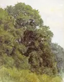 Study of trees Watercolour 17.5 x 13.5cm; 7 x 5¼in by Helen Allingham, Watercolour, sold Mar 2018