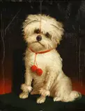 White poodle sitting on a cushion by Continental School, oil on canvas, sold Oct 2014