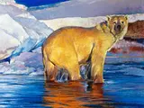Polar bear by Michael Vaughan, oil on canvasboard, sold Jul 2014