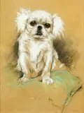 Pekinese on a cushion by Arthur Wardle, pastel, offered May 2014