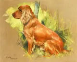 A seated spaniel by Arthur Wardle, pastel, offered May 2014