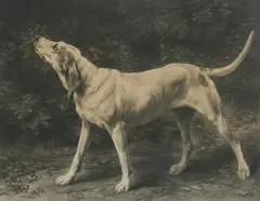 On The Scent by Rosa Bonheur, 1874, engraving, sold Apr 2021