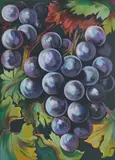 Grapes by Lowell Nesbitt, 1980, oil on canvas, sold Apr 2021