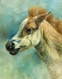Tan and White Foal by Jorge Tarallo Braun, oil on canvas (unstretched), sold Apr 2021