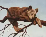 Brown Bear Cub by Gerry Dvorak, oil on panel, sold Apr 2021