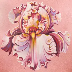 Pink Iris by Lowell Nesbitt, 1984, oil on canvas, sold Apr 2021