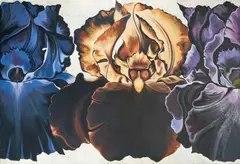 Iris sequence by Lowell Nesbitt, 1982, oil on canvas, sold Apr 2021