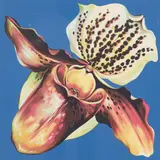 Untitled by Lowell Nesbitt, 1979, screenprint, sold May 2021