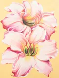 Two Day Lillies by Lowell Nesbitt, 1988, oil on canvas, sold May 2021