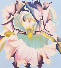 Untitled (Square Iris) by Lowell Nesbitt, 1980, screenprint, sold May 2021