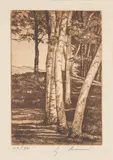 Untitled (Birch tree) by Luigi Lucioni, etching, sold May 2021