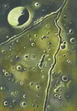 Crater Maskelyne by Lowell Nesbitt, 1970, oil on canvas, sold May 2021