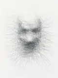 Unwritten by Vernon Ah Kee, 2008, charcoal on paper, sold Aug 2012