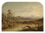Swampy Landscape With Birds And Cattle by James Howe Carse, c.1870, oil on canvas, sold May 2007