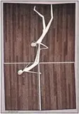 Two Girls On The Lines by John Brack, 1977, watercolour, pen and ink on paper, sold Aug 2007
