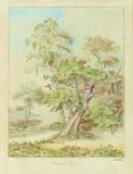 Philomèle et Progné by Pancrace Bessa, Aquarelle, sold Oct 2020