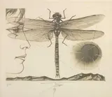 Jeune fille à la libellule by Pierre-Yves Trémois, 1973, Lithographie, sold May 2020