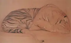 Tigre couché by Auguste Trémont, Sanguine et fusain, sold Mar 2018