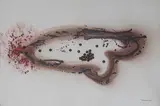 Sans titre, 1965, de la série Bricolages by Carol Rama, Technique mixte, encres de couleurs, pastels et collage de vingt-cinq petites demi-sphères, sold May 2024