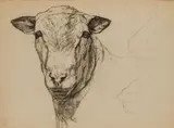 Passionné par l'ornithologie et la chasse depuis l'enfance, Roger Reboussin choisit de se consacrer au dessin et à la peinture, et suivit les cours du peintre a by Roger Reboussin, Crayon noir Porte en bas à gauche le cachet de l'atelier, sold Jun 2020