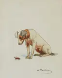 Chien au scarabée by Charles-Fernand de Condamy, Aquarelle sur papier, sold Jun 2020