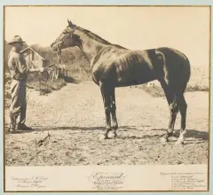 Epinard, étalon de deux ans by Georges Malissard, 1923, Epreuve en bronze à patine brune nuancée, sold Jun 2022