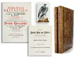 Zoologia Britannica Classis i. Qvadrvpedia ii. Aves by Thomas Pennant, 1726 - 1798, engraving, sold Apr 2018