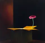 Glowing Box with Gerbera by Ross Penhall, 1999, oil on canvas, sold May 2022