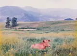 Yellow Mustard by Chris Gergley, C print, sold Mar 2022