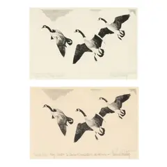 Federal Duck Stamp Design (Two Works) by Richard Evett Bishop, Each an etching on paper, sold Nov 2024