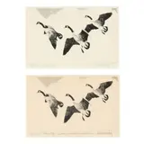 Federal Duck Stamp Design (Two Works) by Richard Evett Bishop, Each an etching on paper, sold Nov 2024