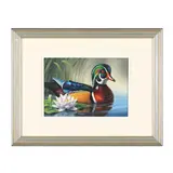 Wood Duck by Guy Crittenden, Oil on panel, sold Nov 2024