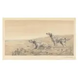 Llewellin Setters by Léon Danchin, Etching and aquatint, sold Nov 2024