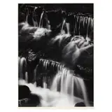 Fern Spring, Dusk, Yosemite Valley, California by Ansel Adams, Gelatin silver print, sold Oct 2024