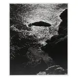 Kelp, China Cove, Point Lobos by Edward Weston, 1940, Gelatin silver print, sold Oct 2024