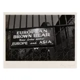 Bear, Central Park Zoo, New York by Garry Winogrand, 1962, Gelatin silver print, sold Oct 2024