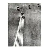 Presa di Cosienza Sulla Natura (Epiphany and Nature) by Mario Giacomelli, 1979, Gelatin silver print, sold Oct 2024