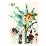 Sun Goddess Flower by Salvador Dalí, Lithograph in colors on BFK Rives, sold Oct 2024