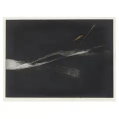 Verse E by Toko Shinoda, Lithograph in colors, sold Oct 2024