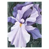 Purple Iris by Jill Troutman Cherrington, Acrylic on canvas, sold Oct 2024