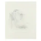 Sandra by Rebecca Fagg, Graphite on paper, sold Sep 2024