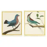 Two Engravings from Histoire Naturelle des Oiseaux by François-Nicolas Martinet, Each a hand colored engraving on paper, sold Sep 2024