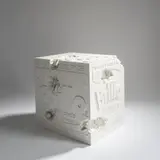 Eroded Brillo Box by Daniel Arsham, 2020, multiple, sold Jul 2021