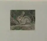 Hase by Robert Hainard, 1931, color woodcut, sold Dec 2023